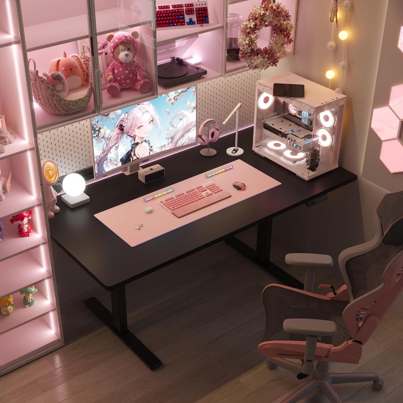 FLEXISPOT Electric Standing De - огляд і ціна Desk Setup Workspace