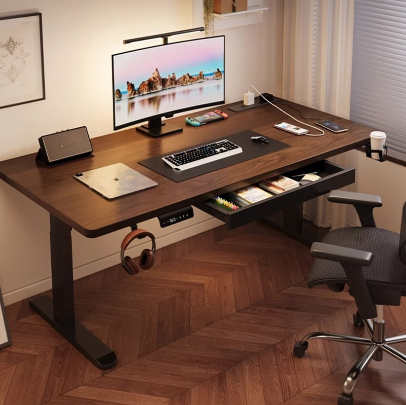 Modern Iron Dual Motor Electri - огляд і ціна Setup Desk Monitor