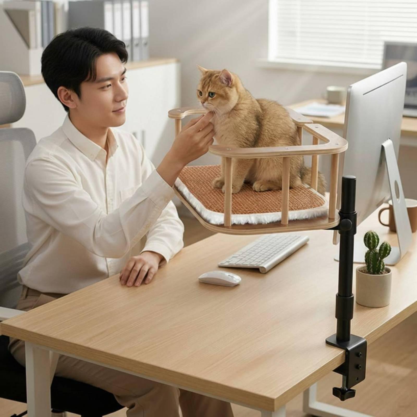 Feline Desk Bed Clamp No-Tools - огляд і ціна Desk Setup Requirements